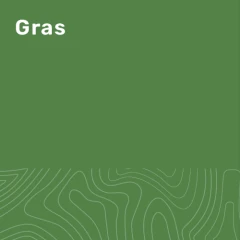 Farbkachel für die Farbe Gras
