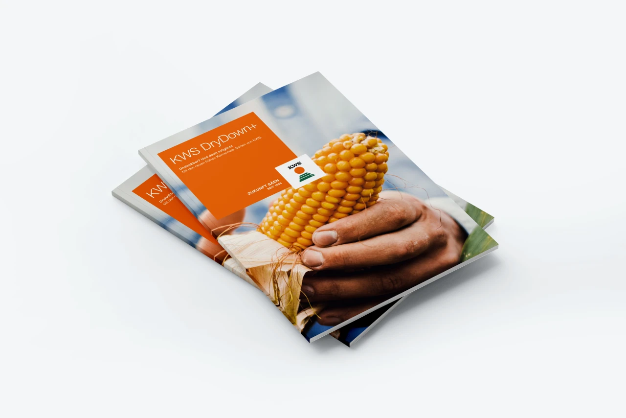 Ein Visual des KWS Katalogs im neuen Gestaltungskonzept von Albert Bauer