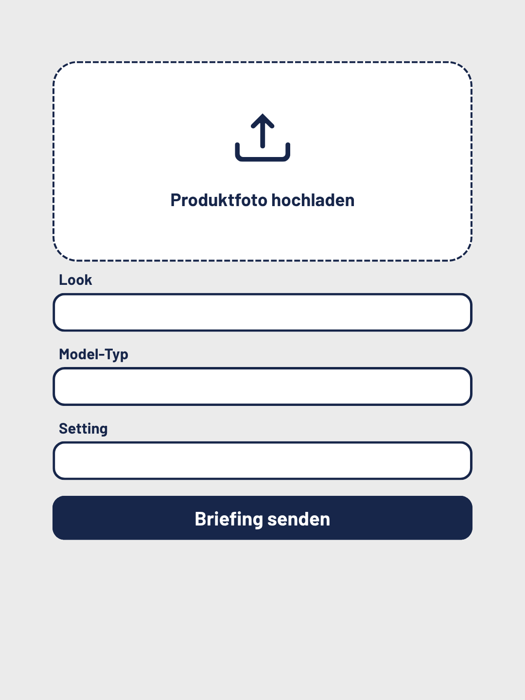 Briefing Formular mit den Feldern BIid-Upload, Look, Model-Typ, Setting und Briefing senden